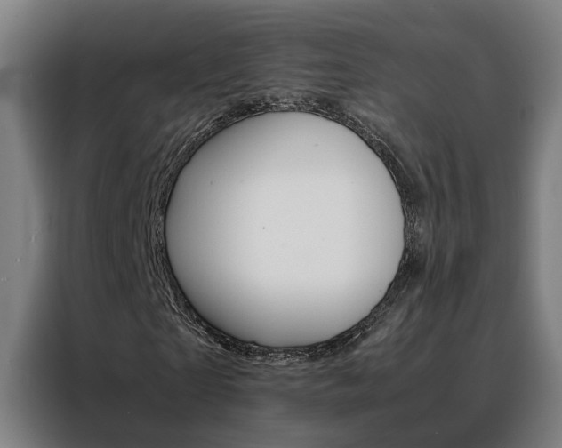 X0000088440865200705220912