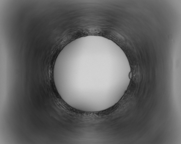X0000088440866200705220912