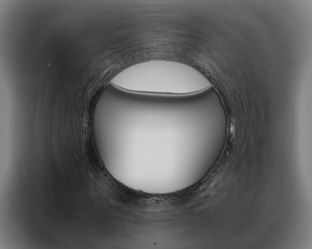 X0000088440867200705220912