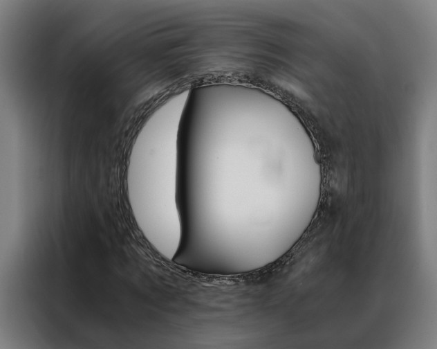 X0000088440869200705220912