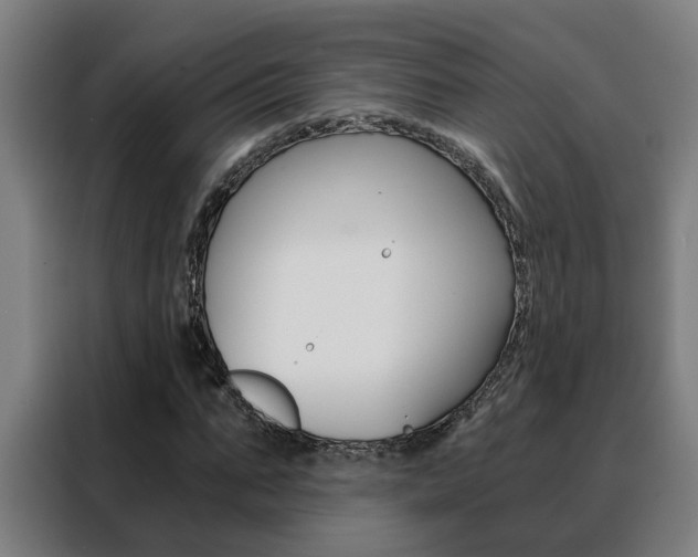 X0000088440871200705220912