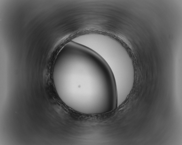 X0000088440872200705220912