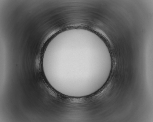 X0000088440874200705220912