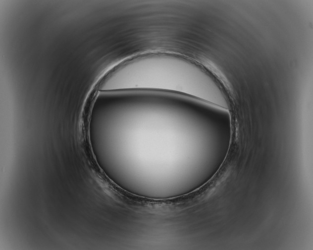 X0000088440876200705220912