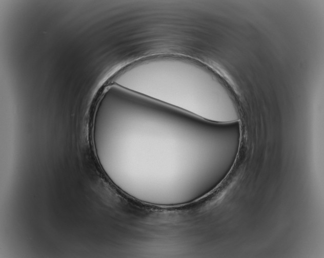 X0000088440877200705220912