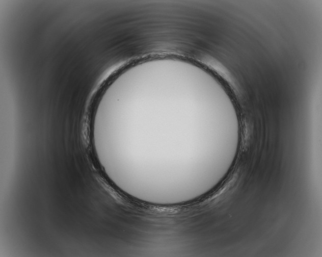 X0000088440878200705220912