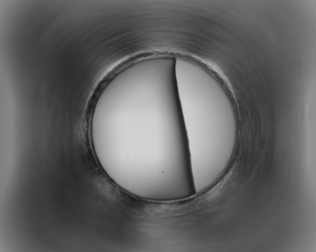 X0000088440879200705220912