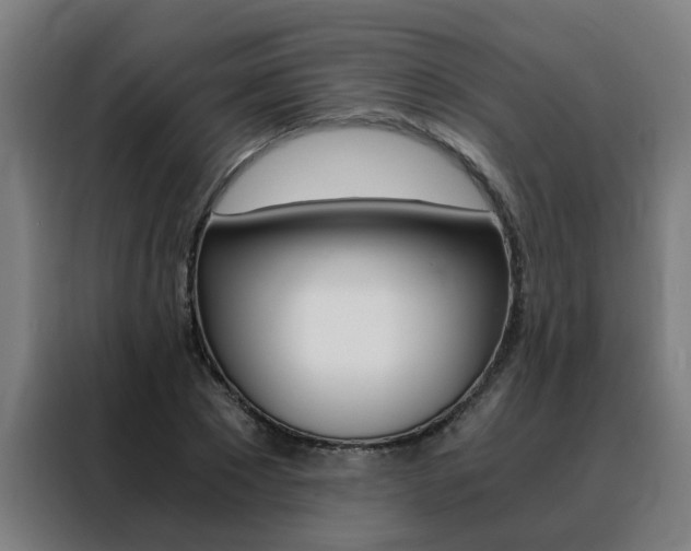 X0000088440881200705220912