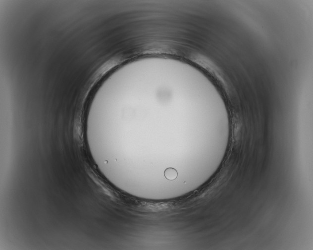X0000088440882200705220912