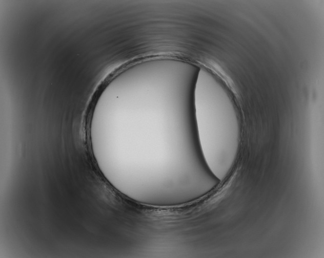 X0000088440883200705220912