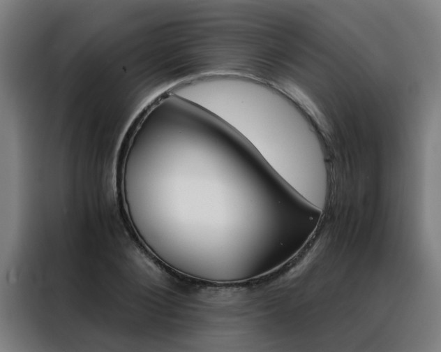 X0000088440884200705220912
