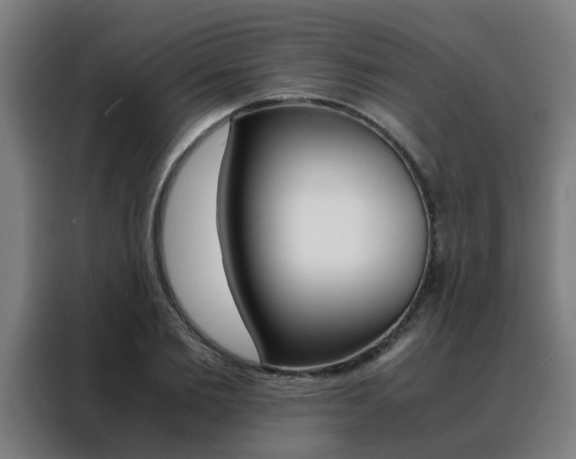 X0000088440885200705220912
