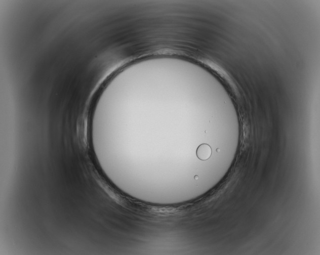 X0000088440886200705220912
