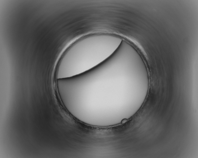X0000088440887200705220912