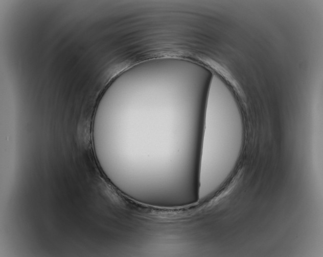 X0000088440889200705220912