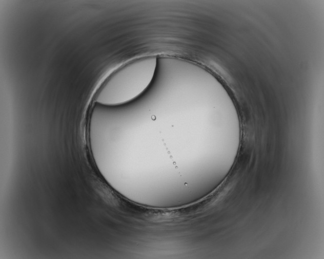 X0000088440891200705220912
