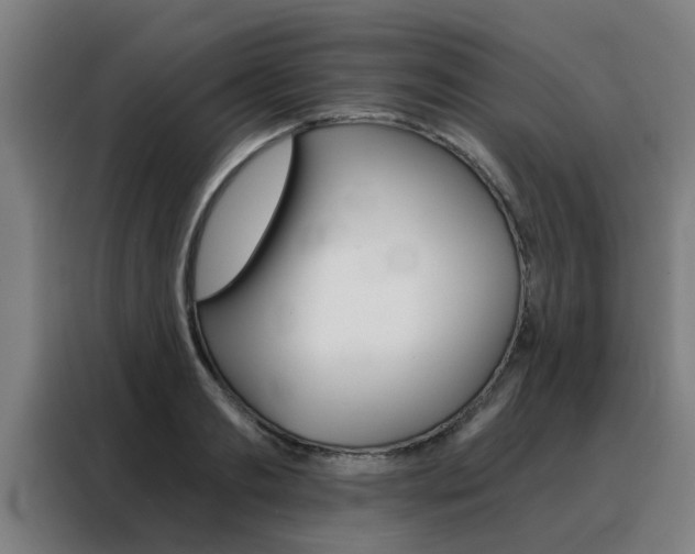 X0000088440893200705220912