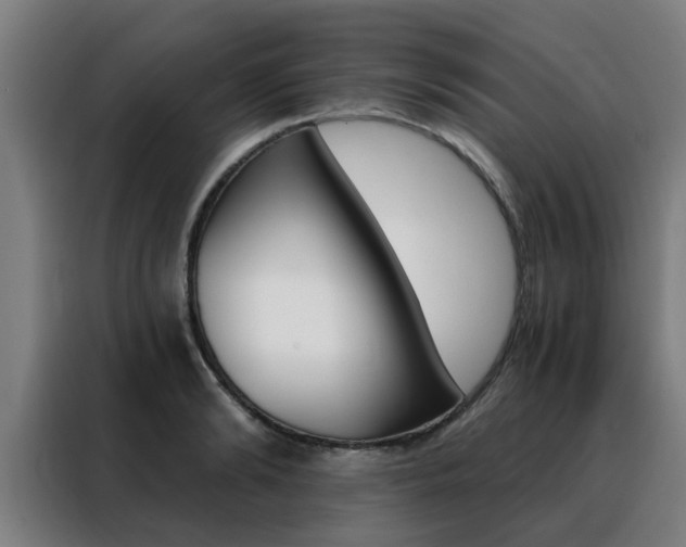 X0000088440894200705220912