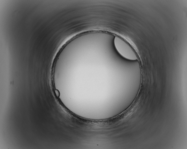 X0000088440895200705220912