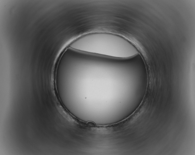 X0000088440896200705220912