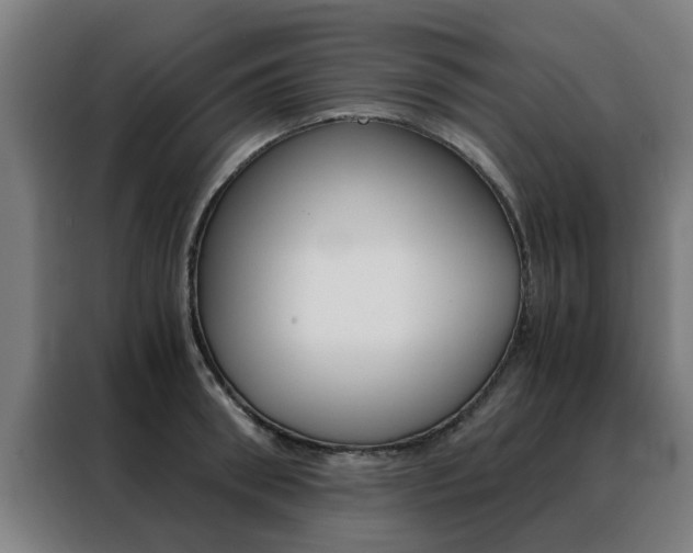 X0000088440898200705220912