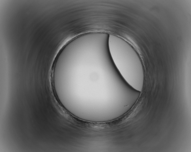 X0000088440899200705220912