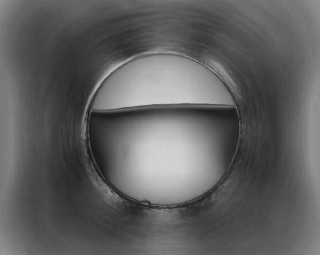 X0000088440900200705220912