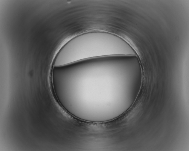 X0000088440901200705220912