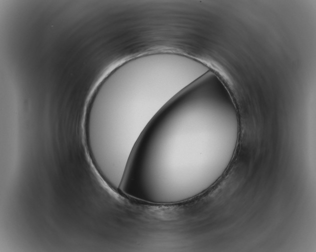 X0000088440902200705220912
