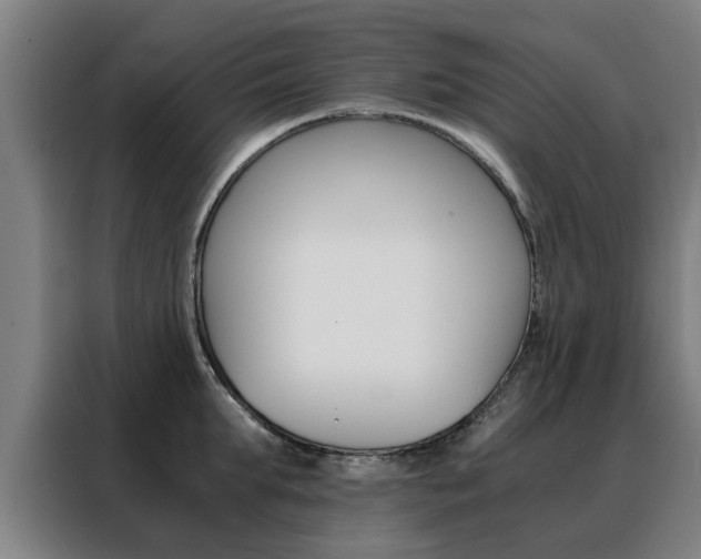 X0000088440903200705220912