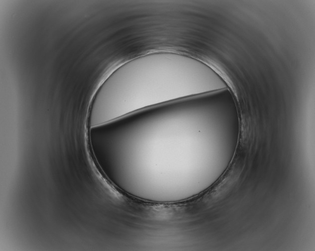 X0000088440906200705220912