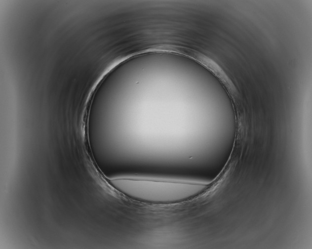 X0000088440908200705220912