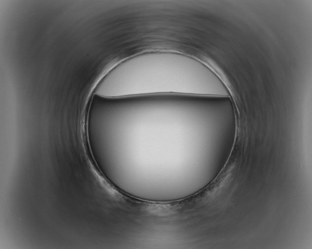 X0000088440909200705220912