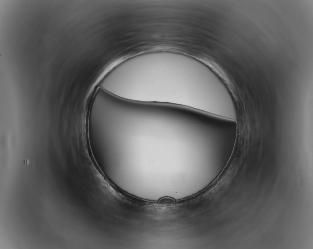 X0000088440910200705220912