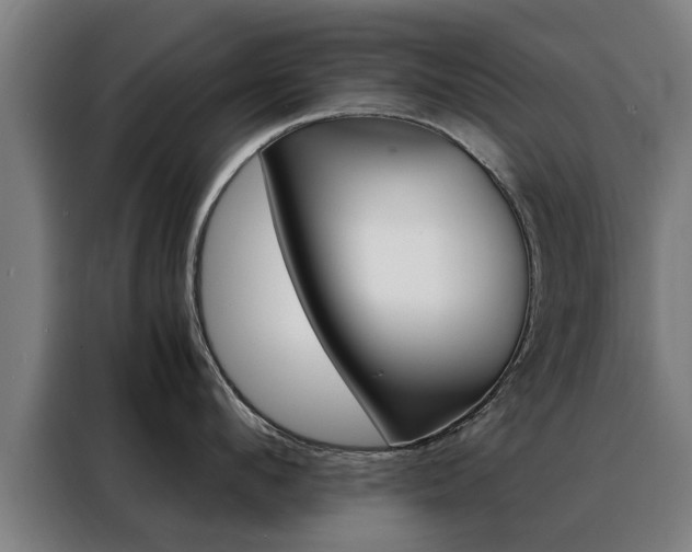 X0000088440912200705220912