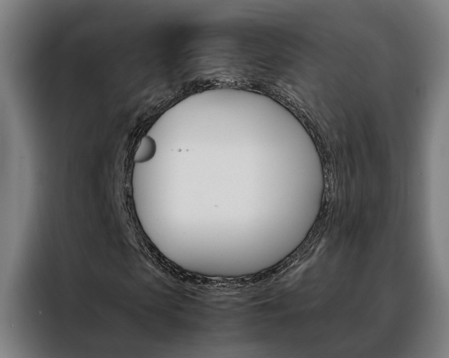 X0000088440913200705220911