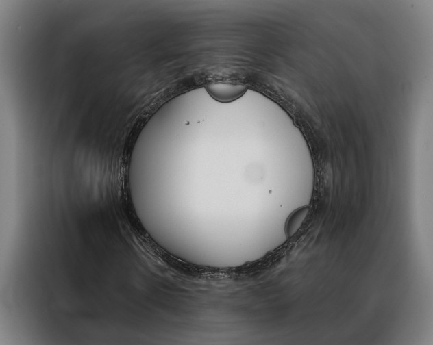 X0000088440914200705220911