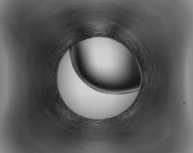 X0000088440916200705220911