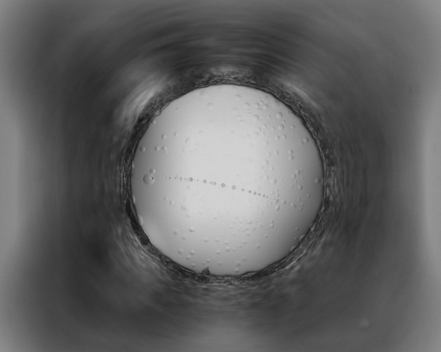 X0000088440917200705220911