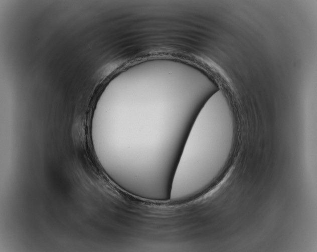 X0000088440921200705220911