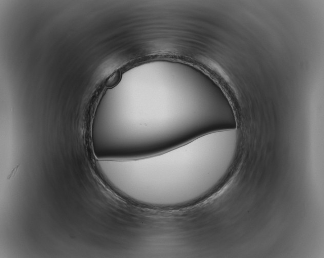 X0000088440922200705220911