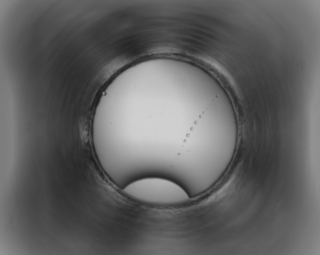 X0000088440929200705220911