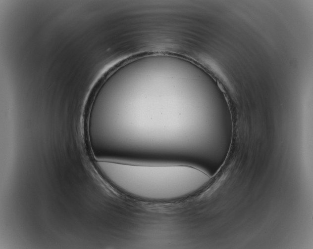 X0000088440932200705220911