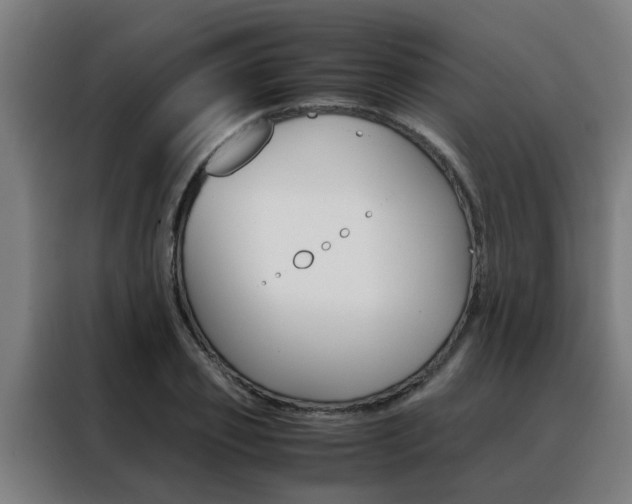 X0000088440933200705220911