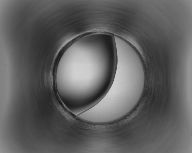 X0000088440936200705220912