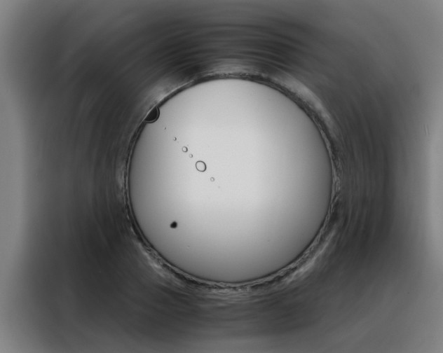 X0000088440937200705220912