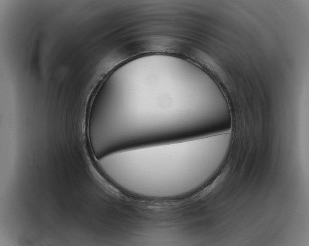 X0000088440938200705220912