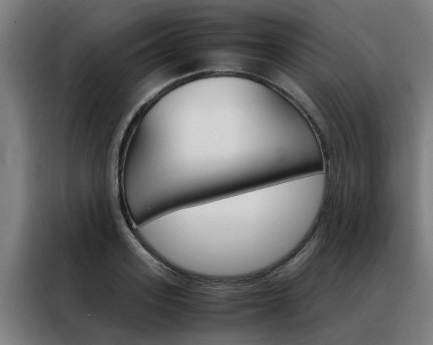 X0000088440939200705220912