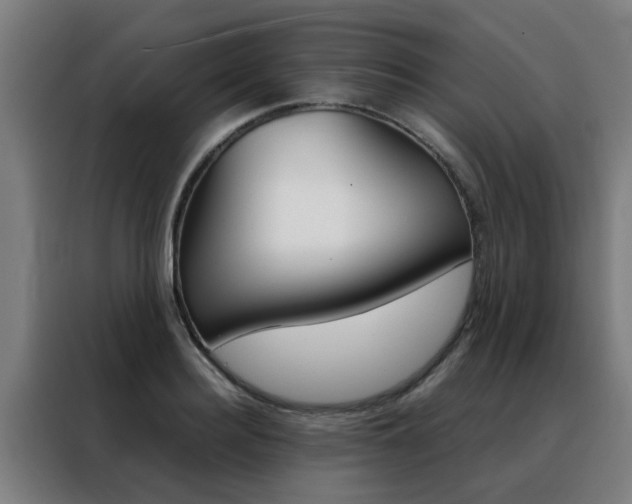 X0000088440940200705220912