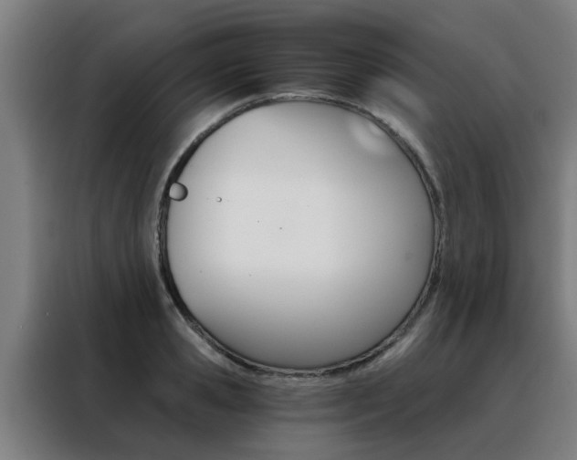 X0000088440941200705220912